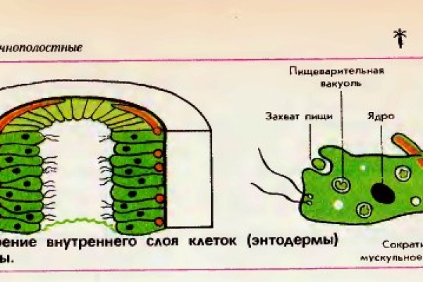 Блэк спрут club