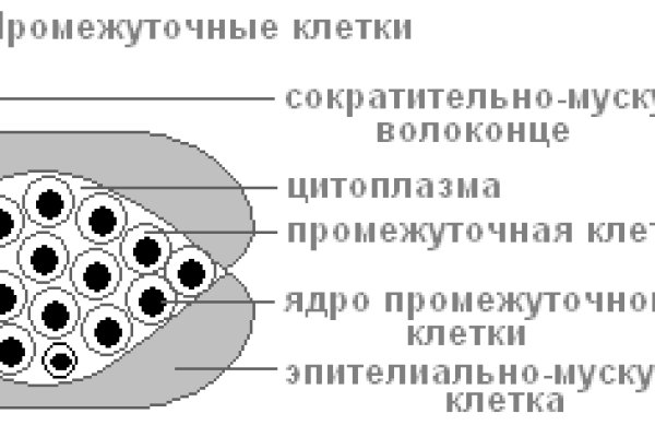 2 fa код blacksprut