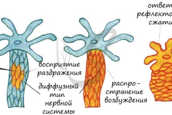 Блэкспрут официальный сайт bs2onion org