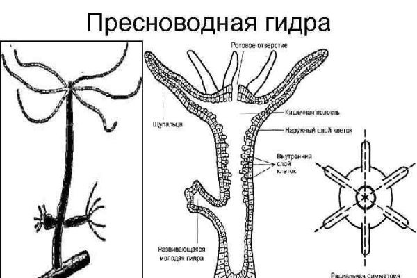 Блекспрут рабочие зеркала blacksprut cam blacksprut2web in