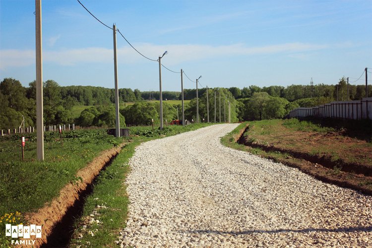 Блекспрут пасарамос